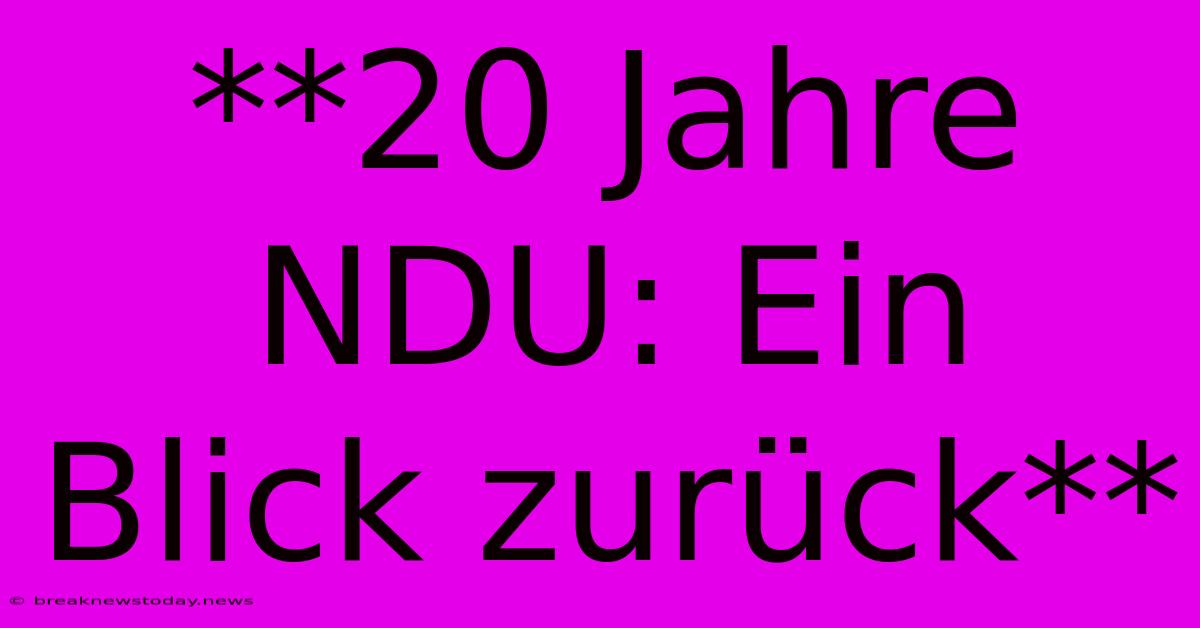 **20 Jahre NDU: Ein Blick Zurück** 