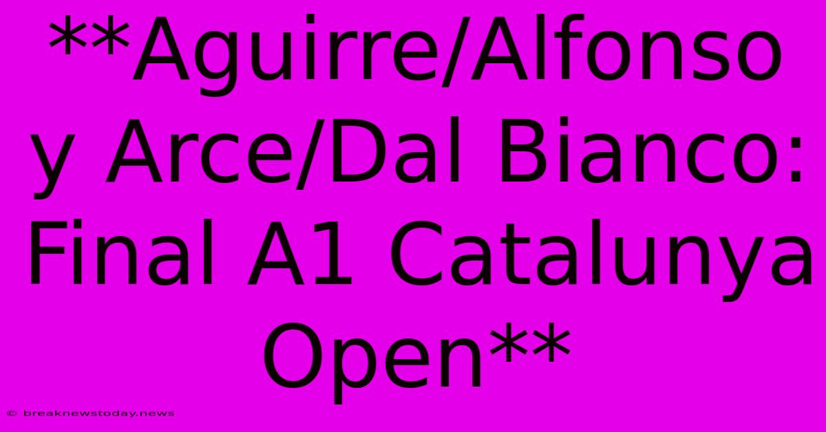 **Aguirre/Alfonso Y Arce/Dal Bianco: Final A1 Catalunya Open**