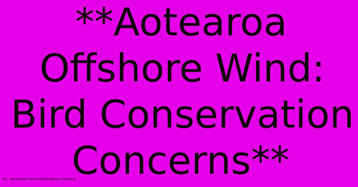 **Aotearoa Offshore Wind: Bird Conservation Concerns**