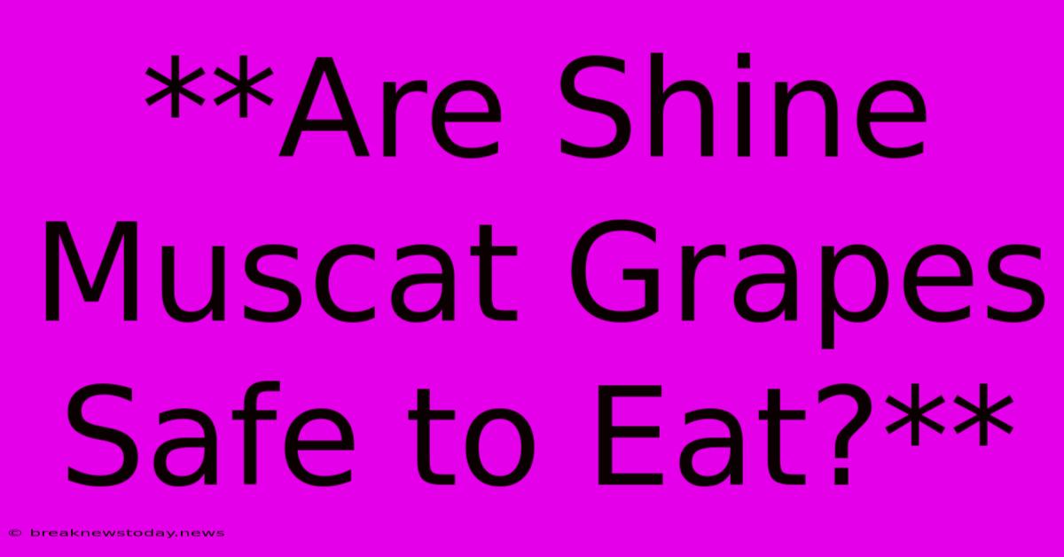 **Are Shine Muscat Grapes Safe To Eat?**