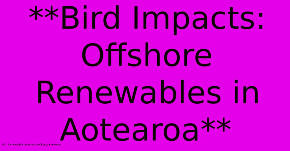 **Bird Impacts: Offshore Renewables In Aotearoa**