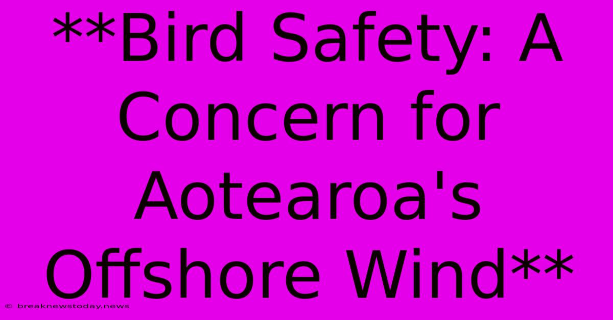 **Bird Safety: A Concern For Aotearoa's Offshore Wind** 