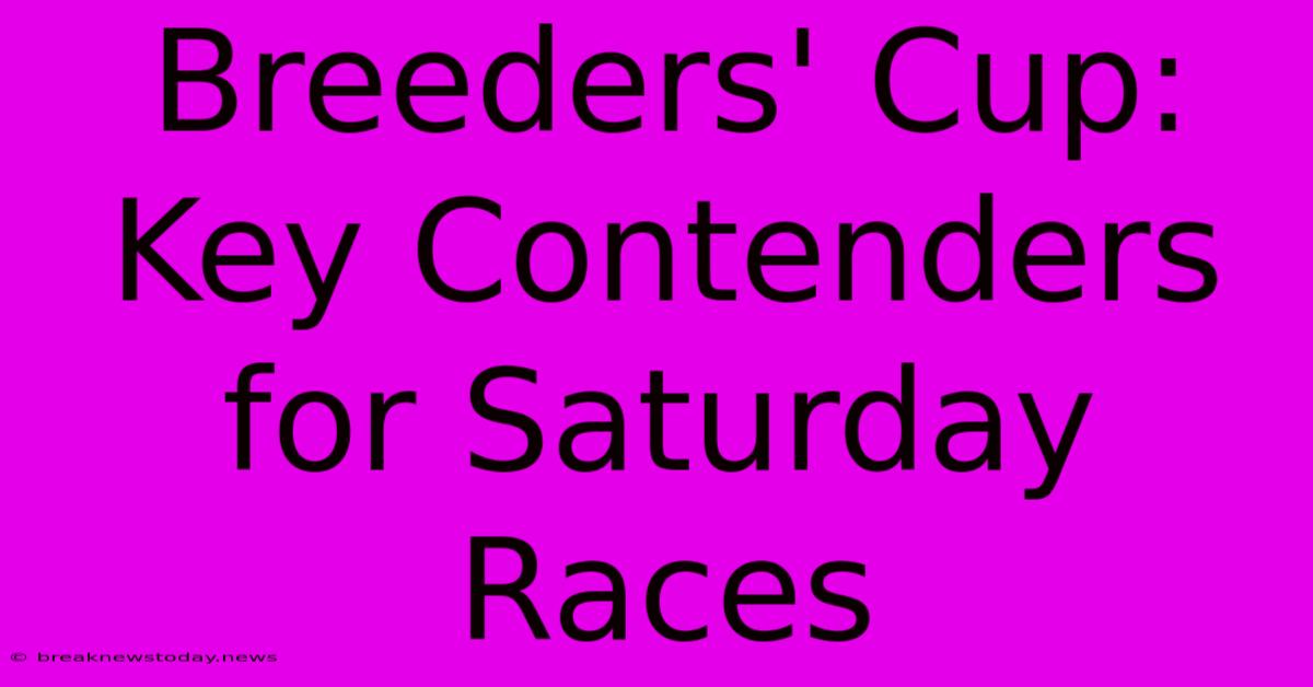 Breeders' Cup: Key Contenders For Saturday Races