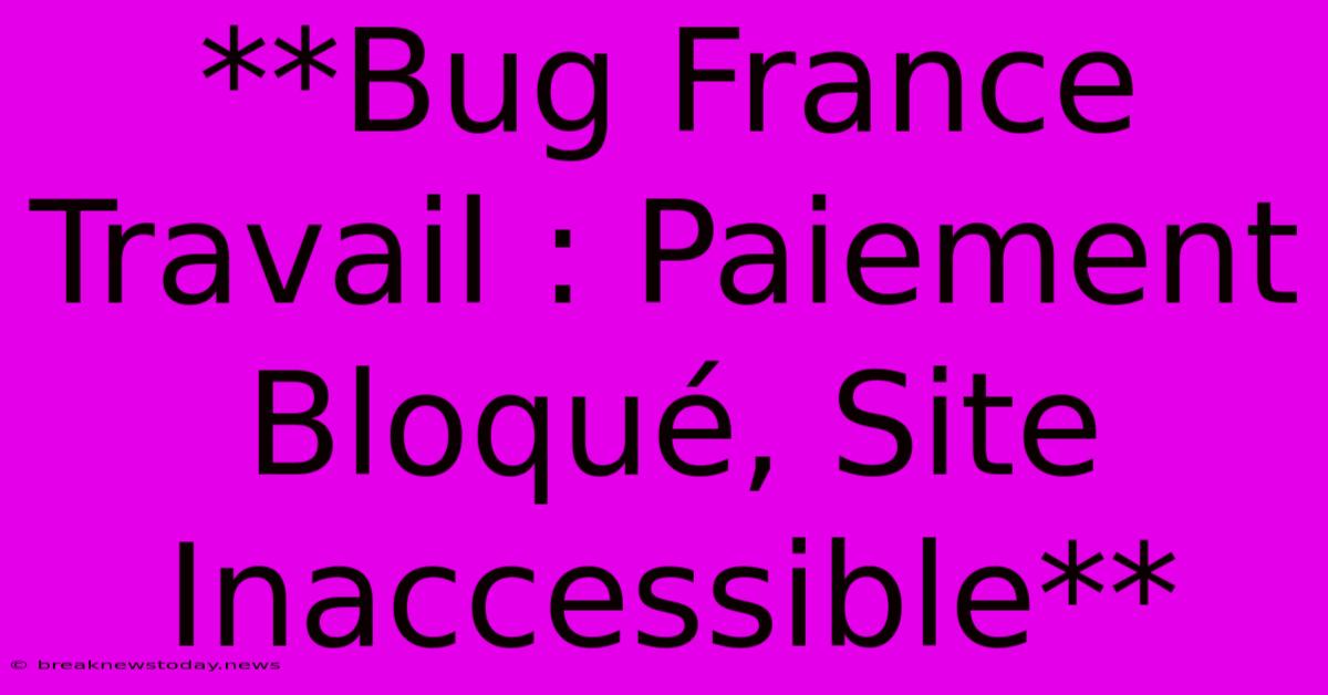 **Bug France Travail : Paiement Bloqué, Site Inaccessible**