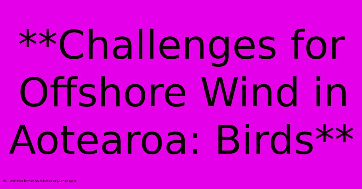 **Challenges For Offshore Wind In Aotearoa: Birds**