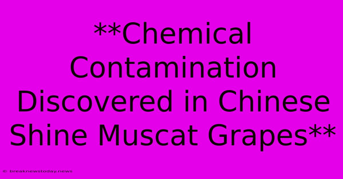 **Chemical Contamination Discovered In Chinese Shine Muscat Grapes**