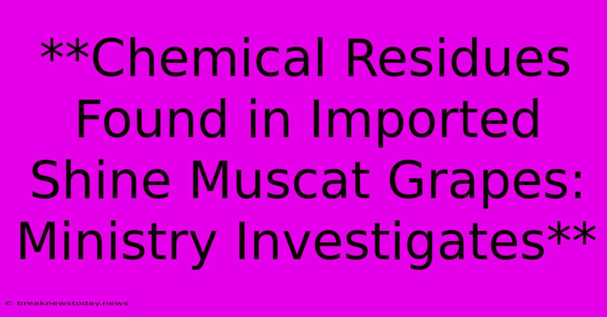 **Chemical Residues Found In Imported Shine Muscat Grapes: Ministry Investigates**