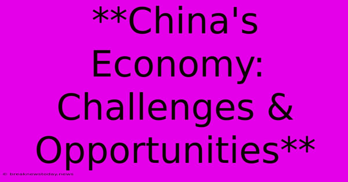 **China's Economy: Challenges & Opportunities** 