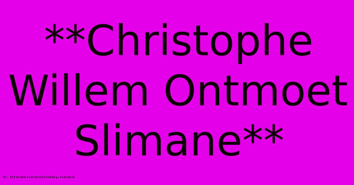 **Christophe Willem Ontmoet Slimane**