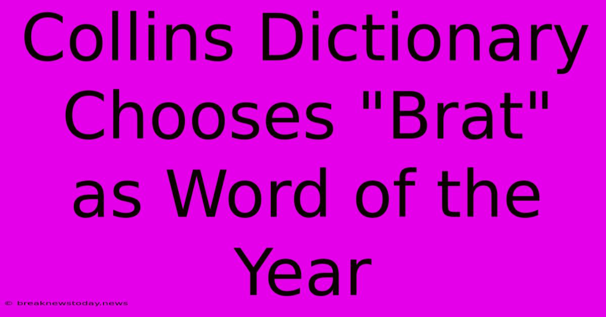 Collins Dictionary Chooses 