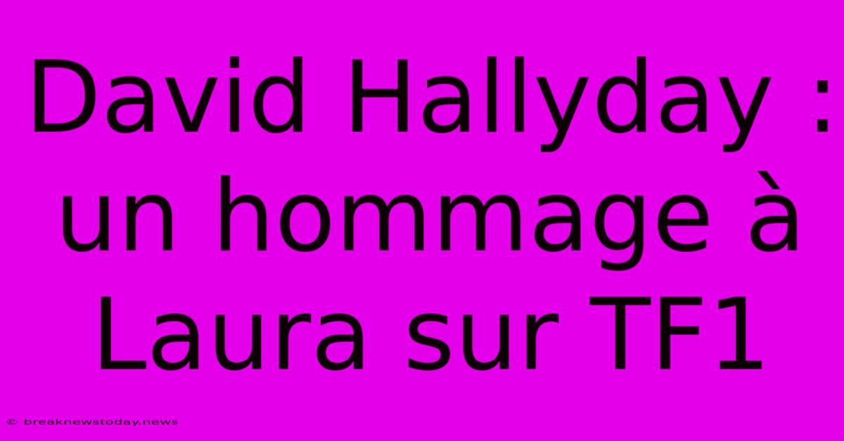 David Hallyday : Un Hommage À Laura Sur TF1 