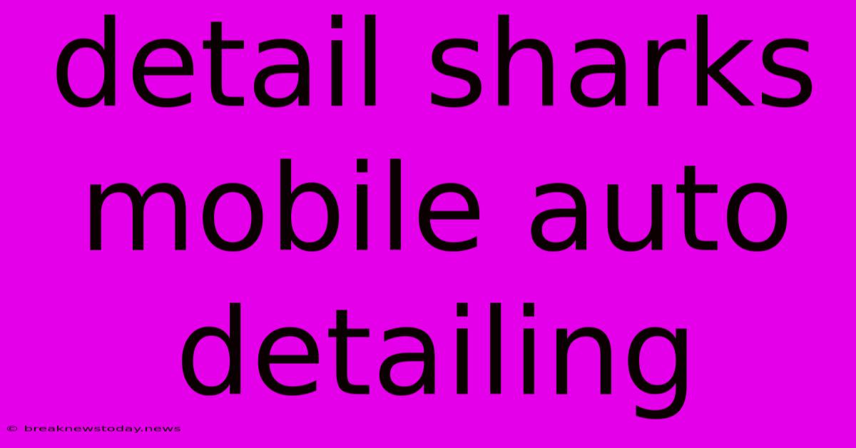 Detail Sharks Mobile Auto Detailing