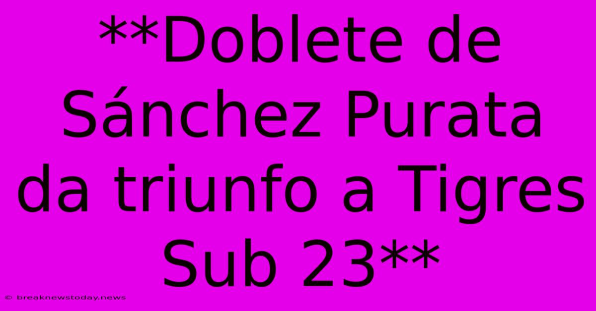 **Doblete De Sánchez Purata Da Triunfo A Tigres Sub 23** 