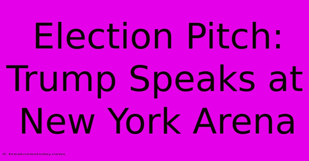 Election Pitch: Trump Speaks At New York Arena