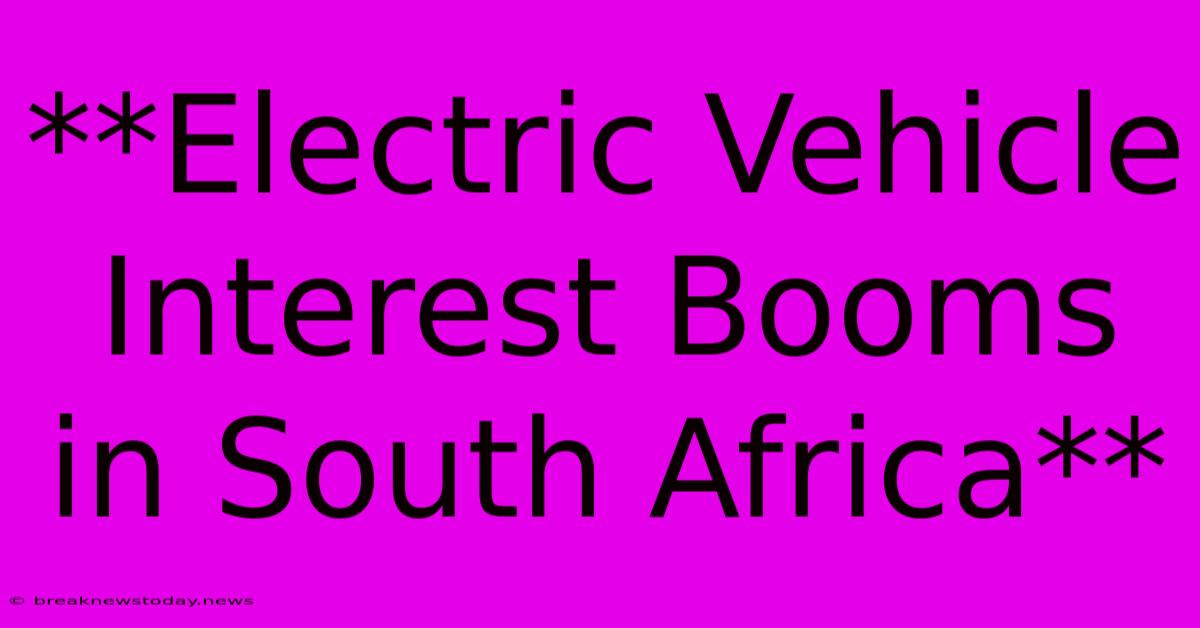 **Electric Vehicle Interest Booms In South Africa**