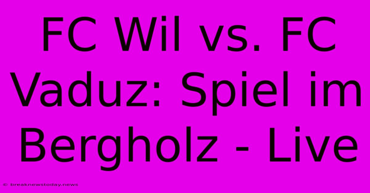 FC Wil Vs. FC Vaduz: Spiel Im Bergholz - Live