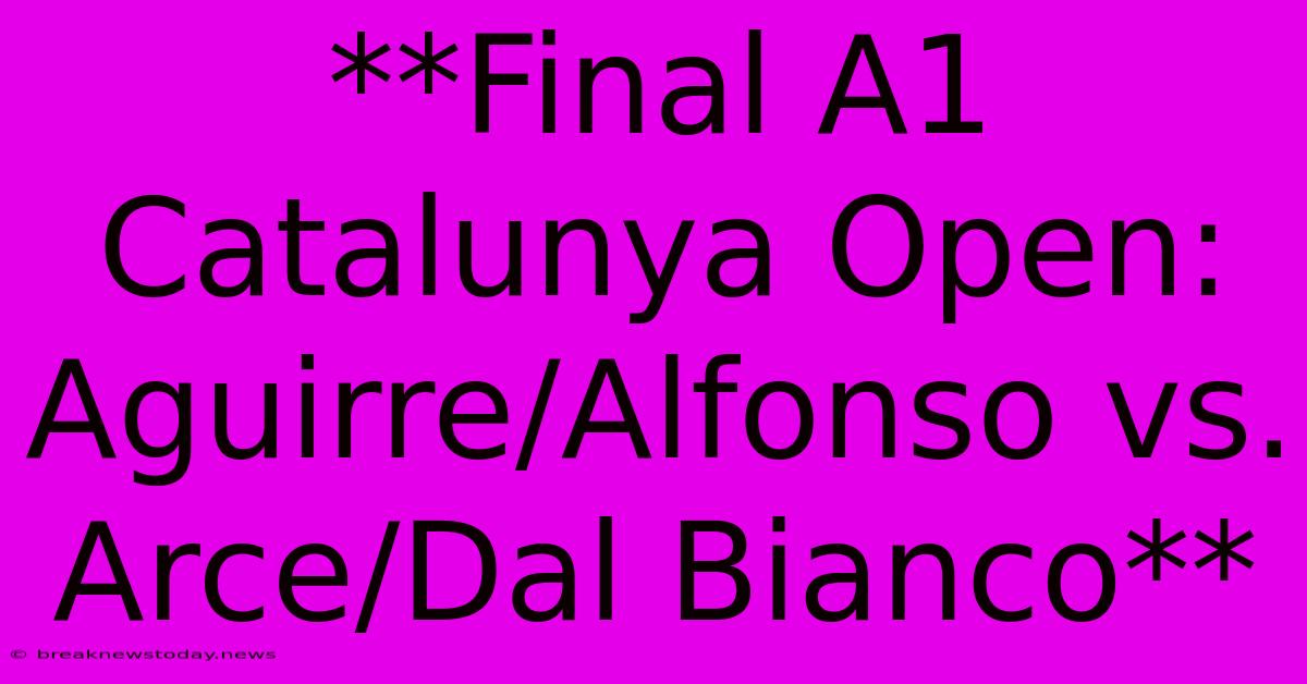 **Final A1 Catalunya Open: Aguirre/Alfonso Vs. Arce/Dal Bianco**