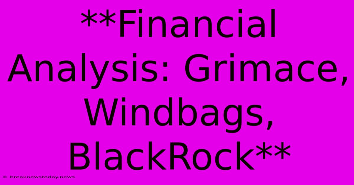 **Financial Analysis: Grimace, Windbags, BlackRock**