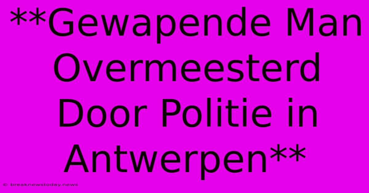 **Gewapende Man Overmeesterd Door Politie In Antwerpen**