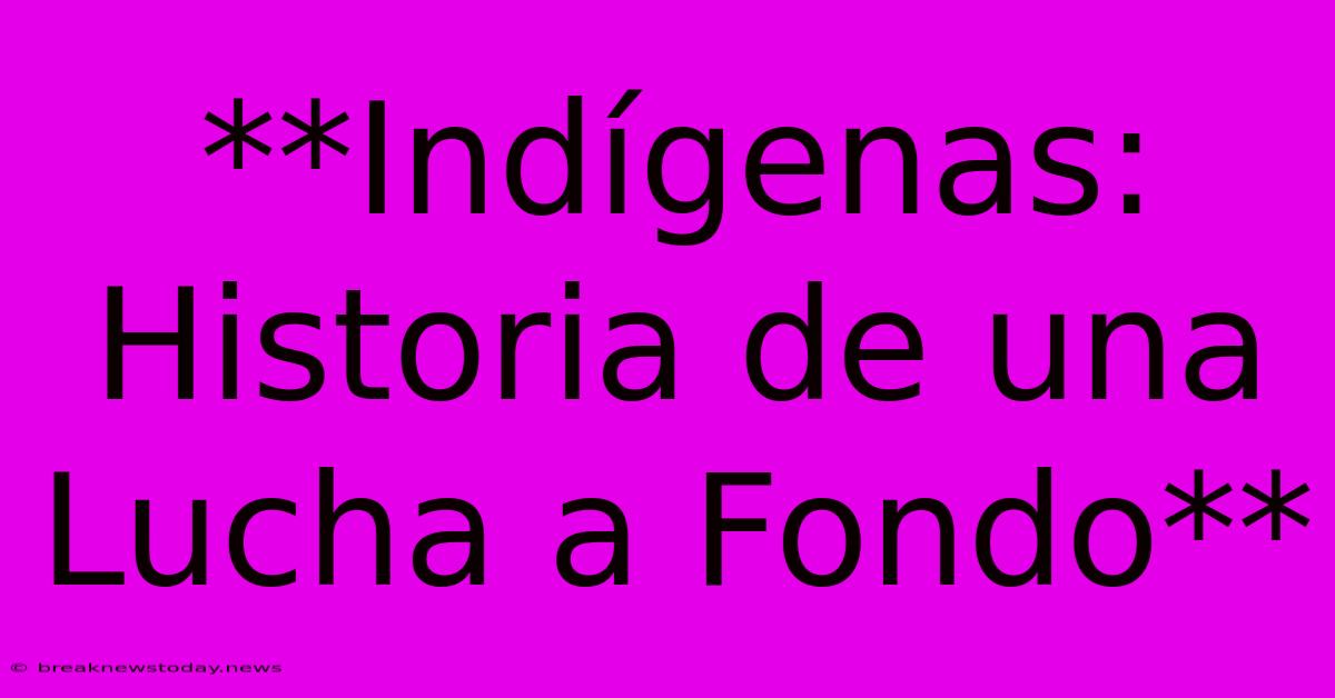 **Indígenas: Historia De Una Lucha A Fondo**