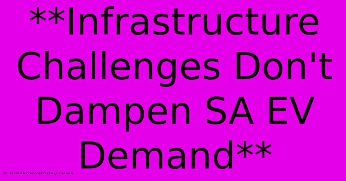 **Infrastructure Challenges Don't Dampen SA EV Demand**