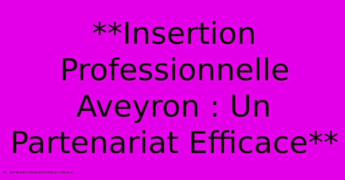 **Insertion Professionnelle Aveyron : Un Partenariat Efficace**