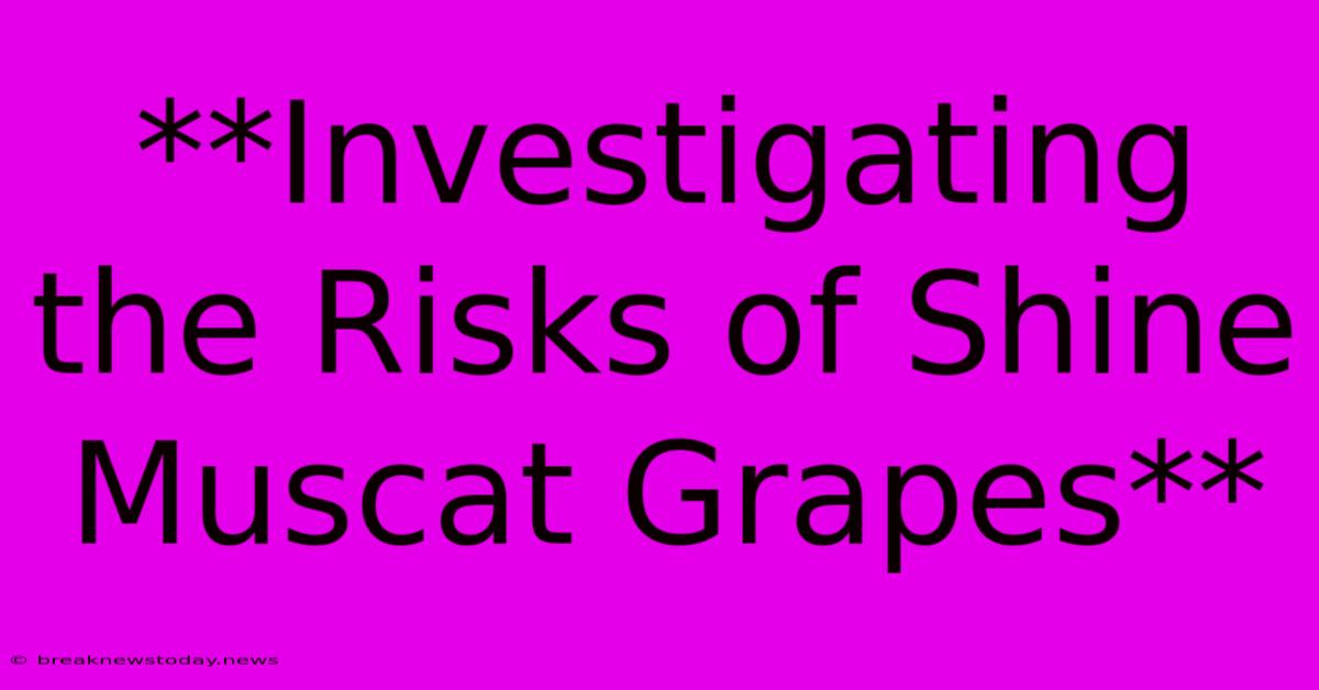 **Investigating The Risks Of Shine Muscat Grapes**