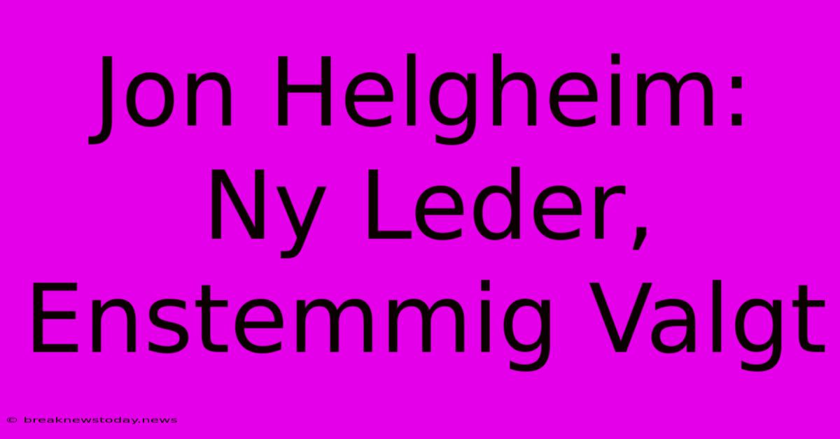 Jon Helgheim: Ny Leder, Enstemmig Valgt 