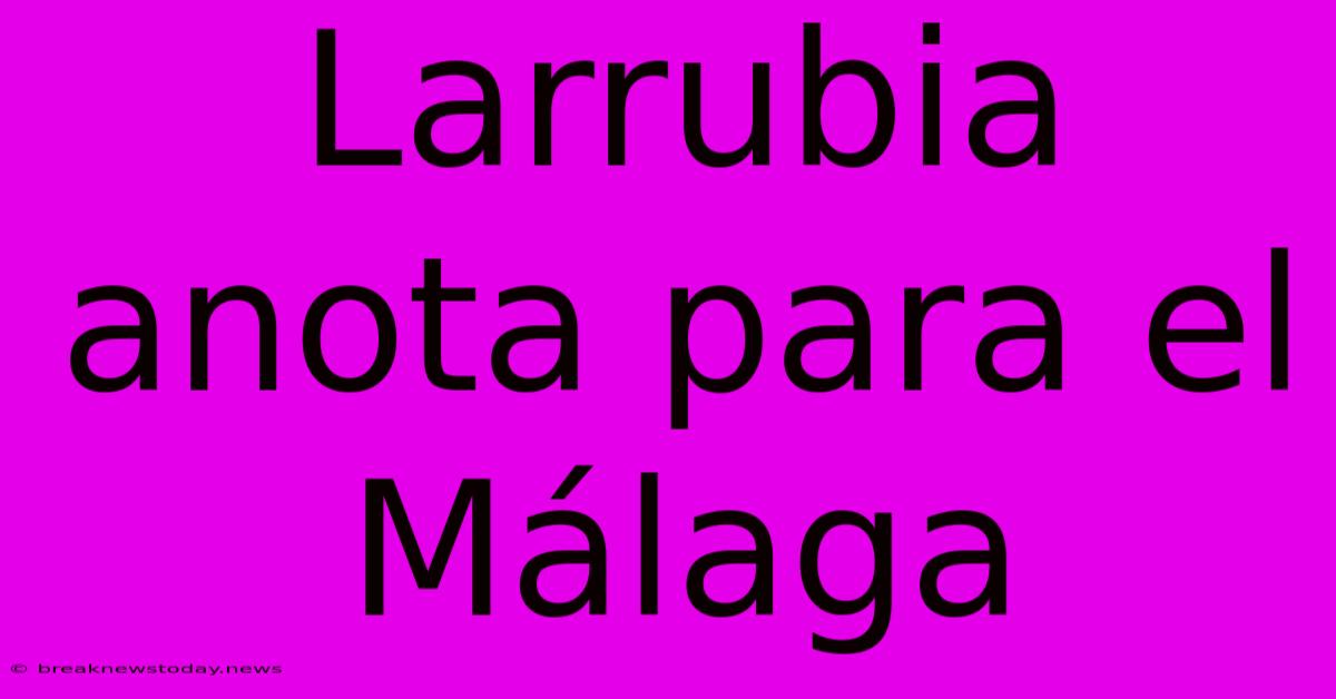 Larrubia Anota Para El Málaga