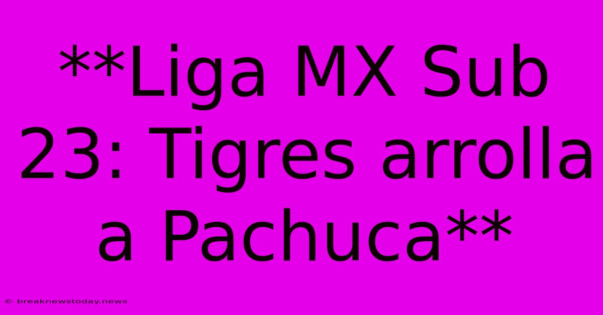 **Liga MX Sub 23: Tigres Arrolla A Pachuca**