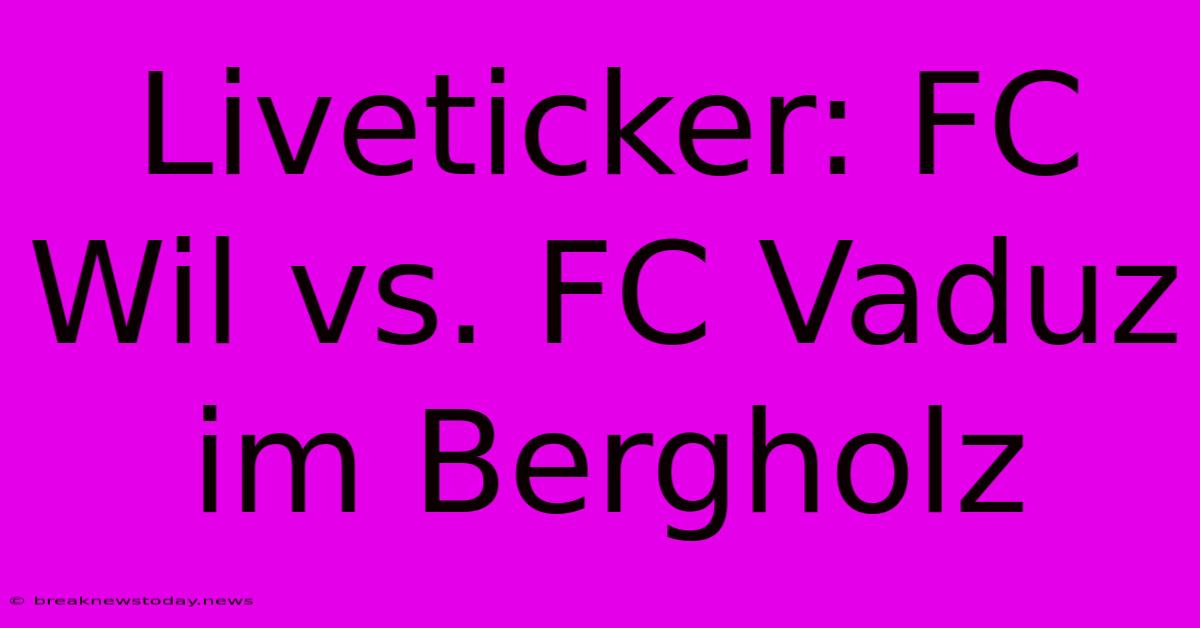 Liveticker: FC Wil Vs. FC Vaduz Im Bergholz