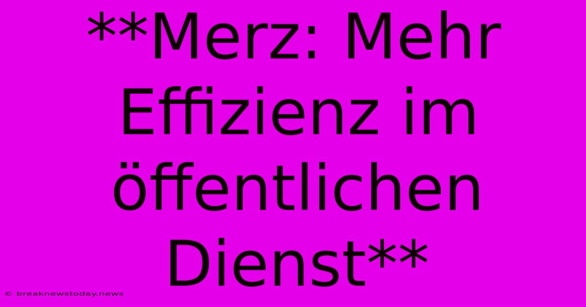 **Merz: Mehr Effizienz Im Öffentlichen Dienst**