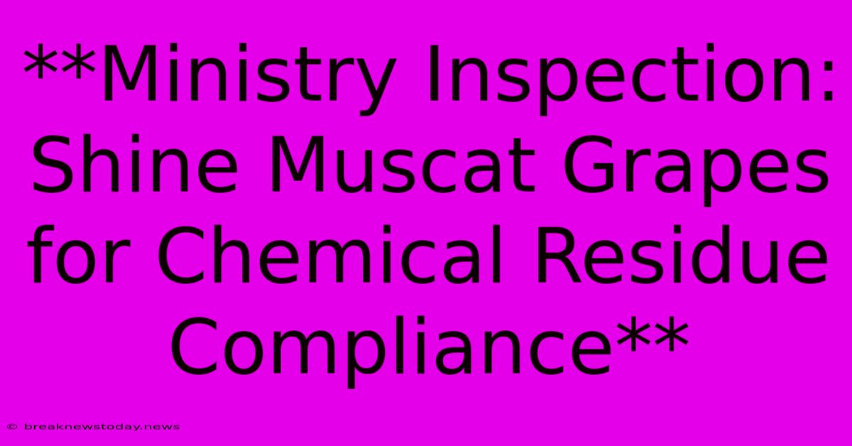 **Ministry Inspection: Shine Muscat Grapes For Chemical Residue Compliance**