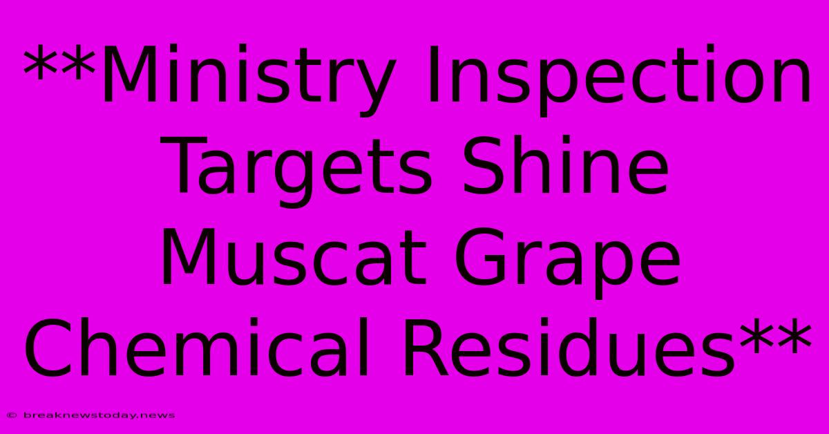 **Ministry Inspection Targets Shine Muscat Grape Chemical Residues**