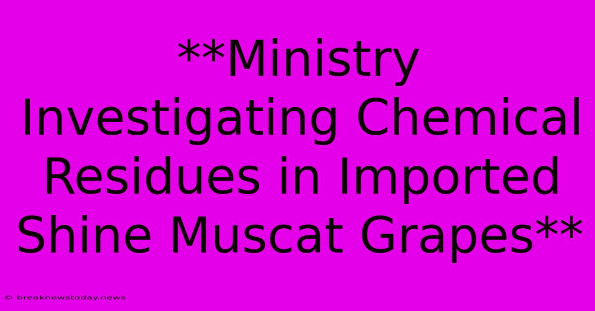 **Ministry Investigating Chemical Residues In Imported Shine Muscat Grapes**