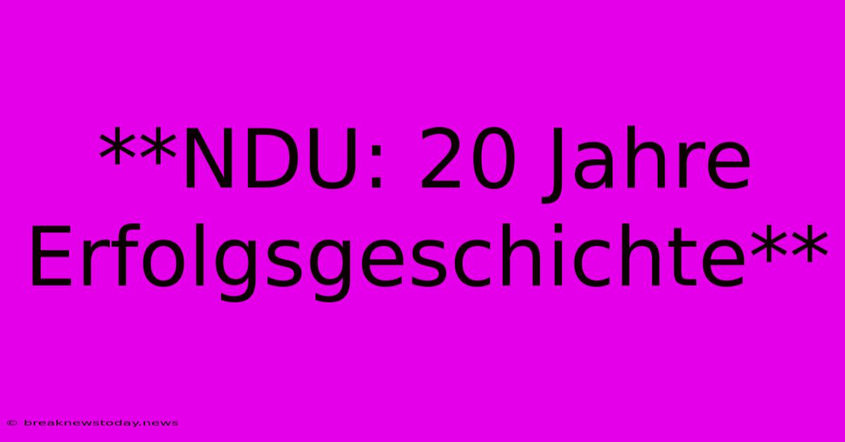 **NDU: 20 Jahre Erfolgsgeschichte**