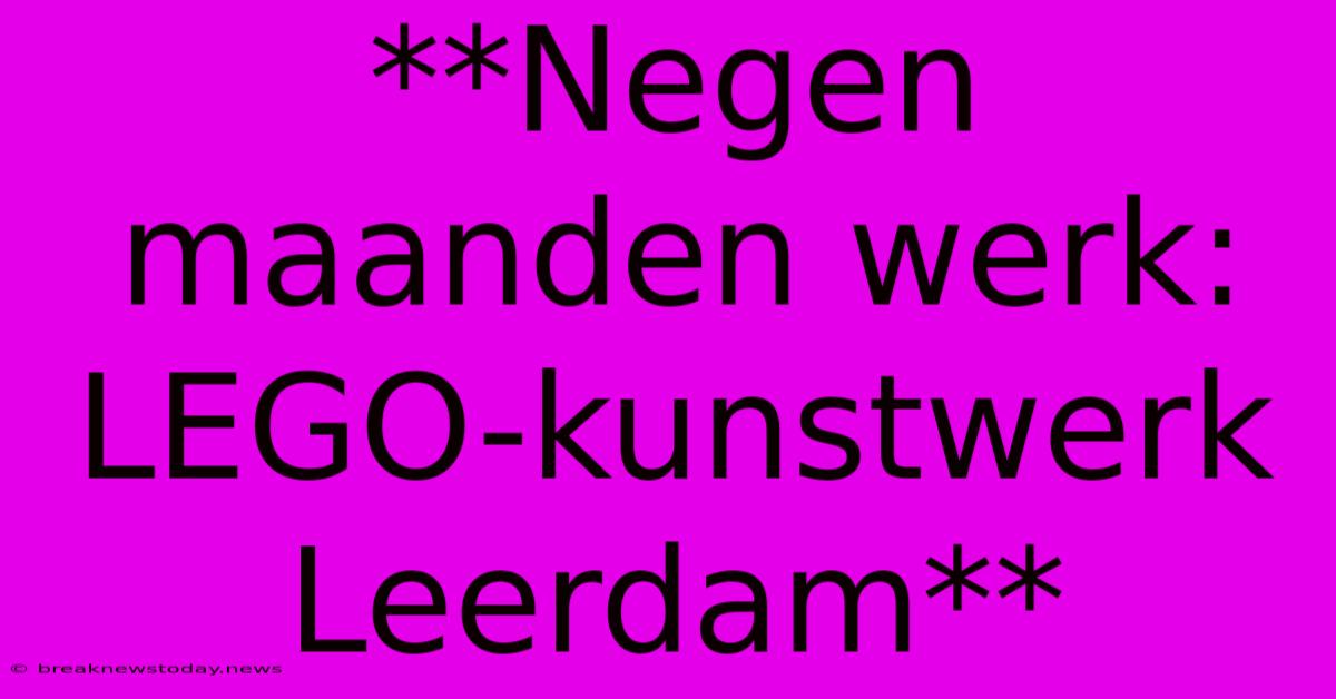 **Negen Maanden Werk: LEGO-kunstwerk Leerdam**