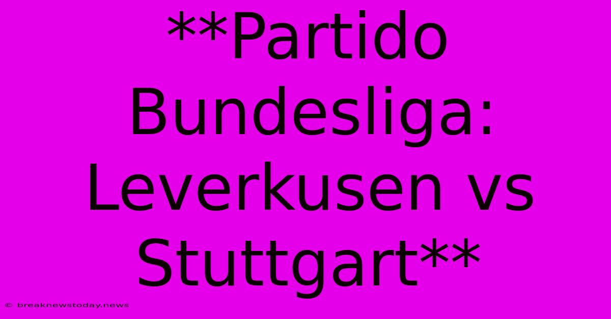 **Partido Bundesliga: Leverkusen Vs Stuttgart**