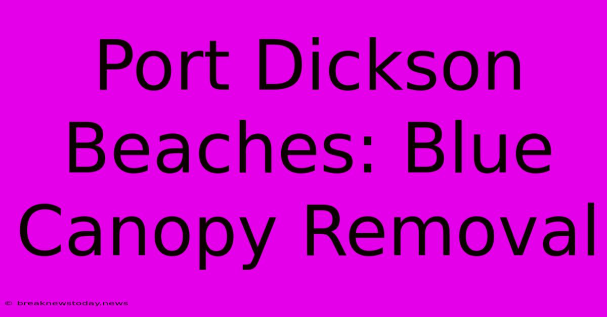 Port Dickson Beaches: Blue Canopy Removal