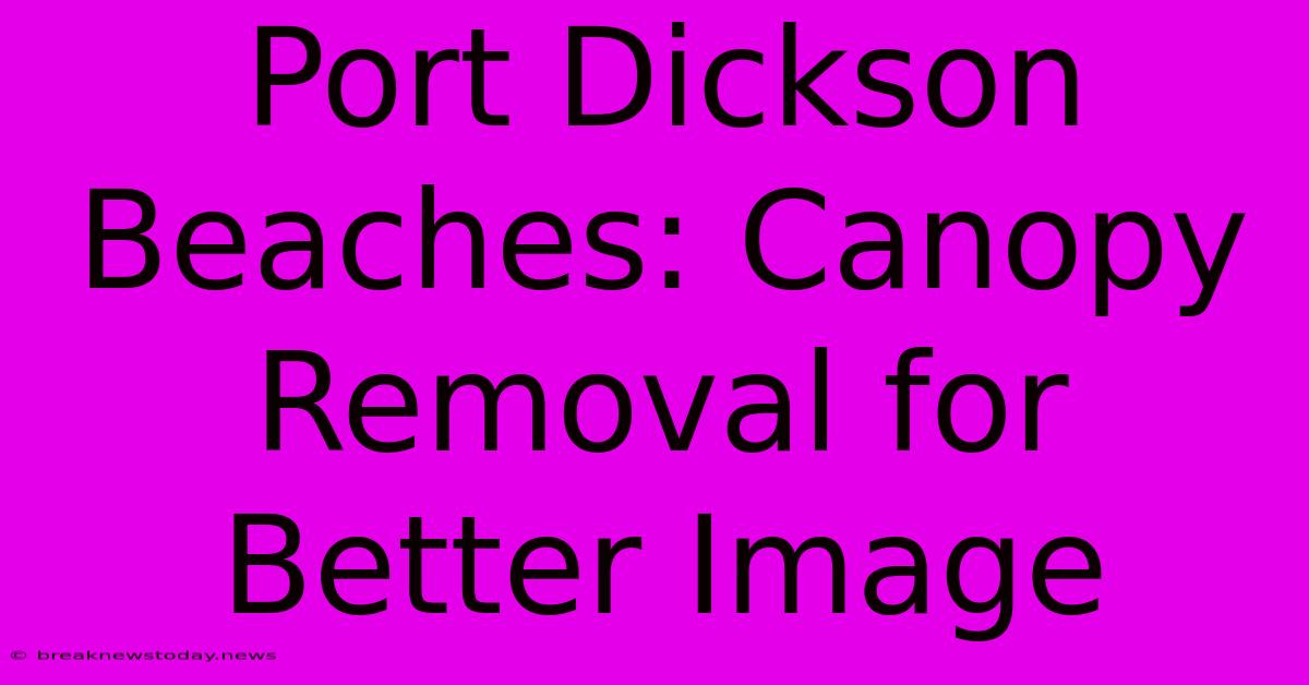 Port Dickson Beaches: Canopy Removal For Better Image 