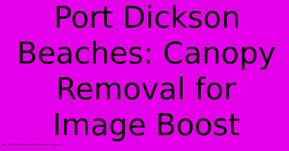 Port Dickson Beaches: Canopy Removal For Image Boost