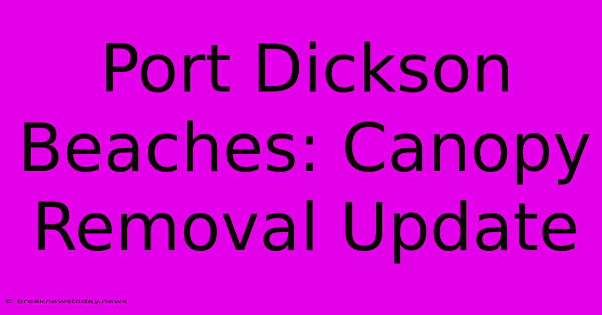 Port Dickson Beaches: Canopy Removal Update