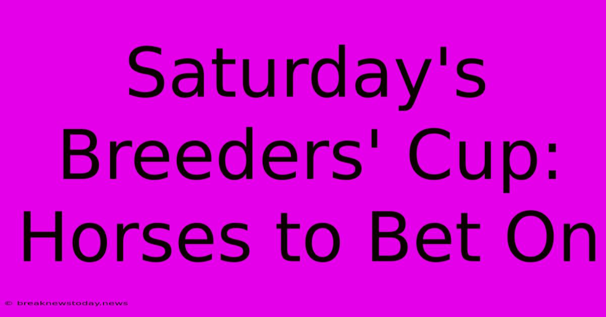 Saturday's Breeders' Cup: Horses To Bet On 