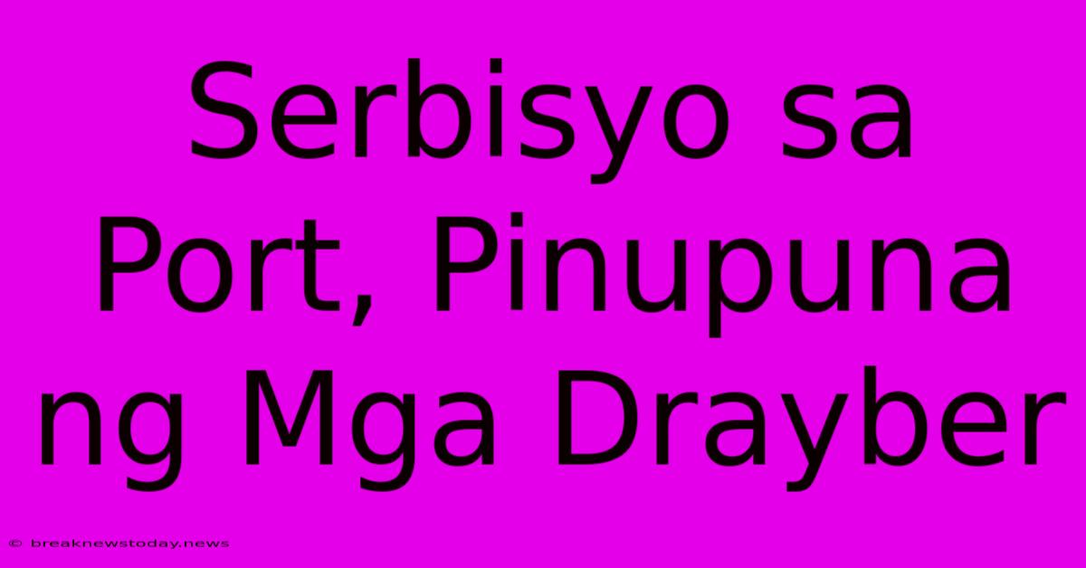 Serbisyo Sa Port, Pinupuna Ng Mga Drayber