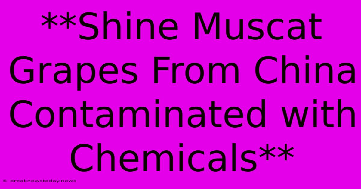 **Shine Muscat Grapes From China Contaminated With Chemicals**