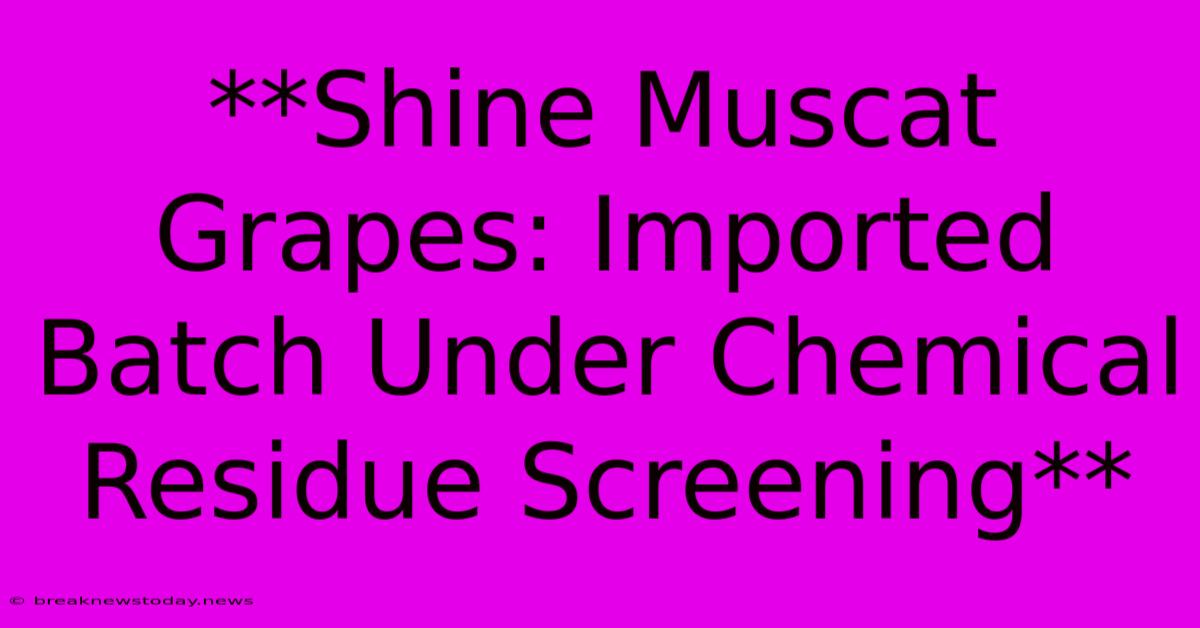 **Shine Muscat Grapes: Imported Batch Under Chemical Residue Screening**