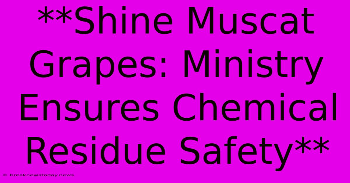 **Shine Muscat Grapes: Ministry Ensures Chemical Residue Safety**