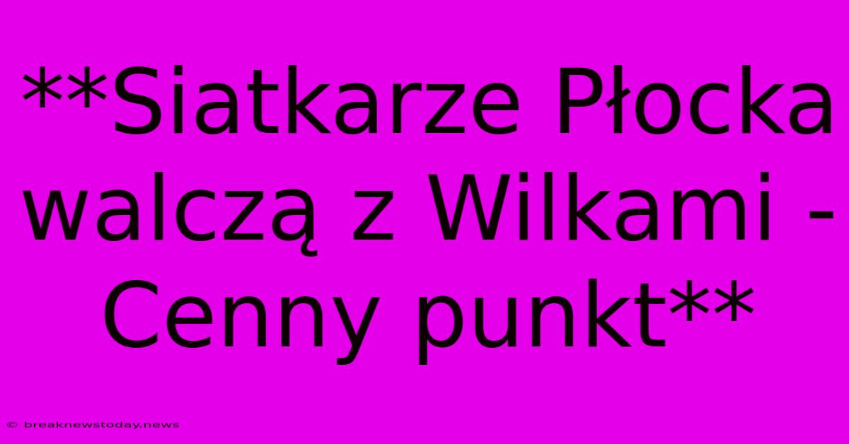 **Siatkarze Płocka Walczą Z Wilkami - Cenny Punkt**