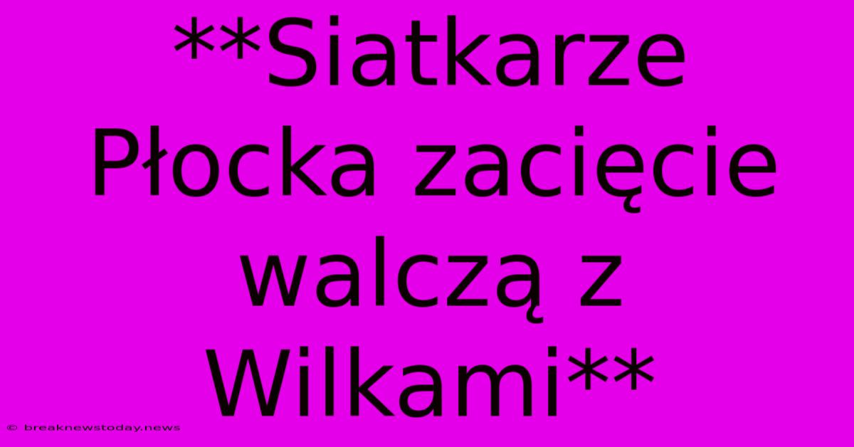 **Siatkarze Płocka Zacięcie Walczą Z Wilkami**