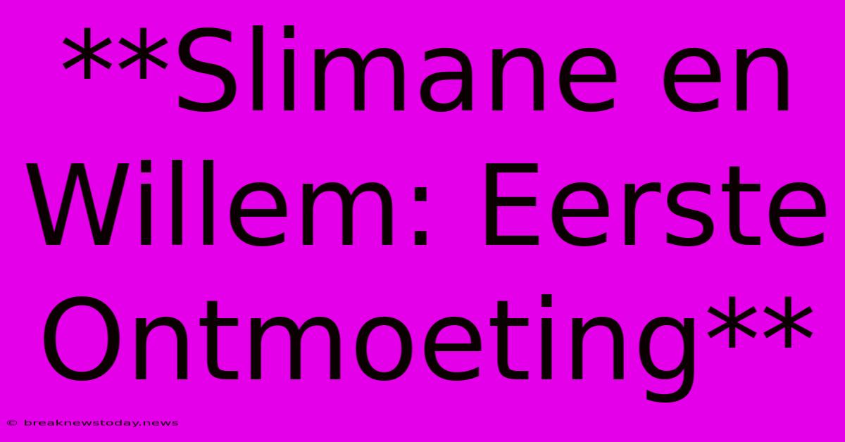 **Slimane En Willem: Eerste Ontmoeting**